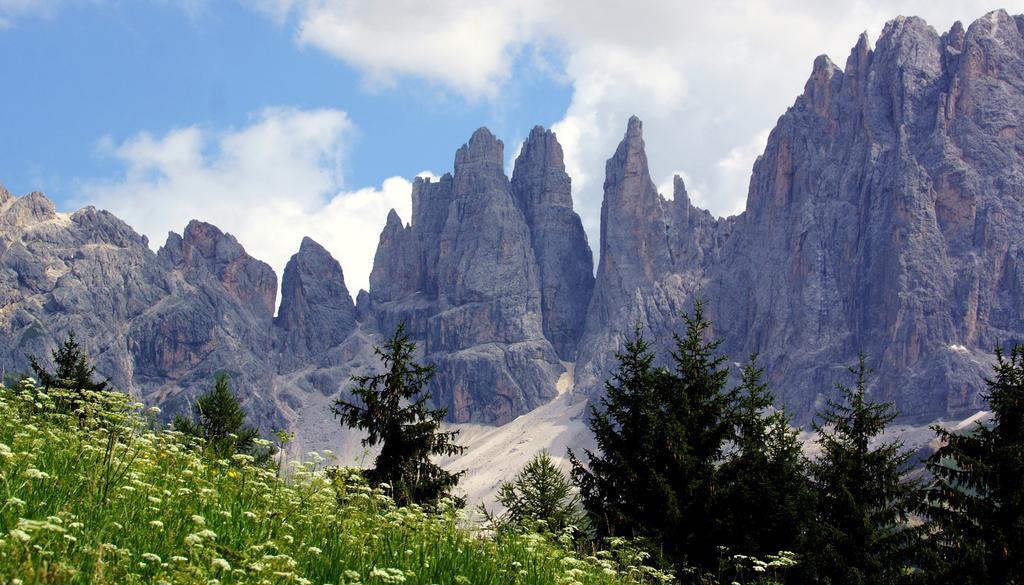 Hotel Meisules Selva di Val Gardena Exterior foto