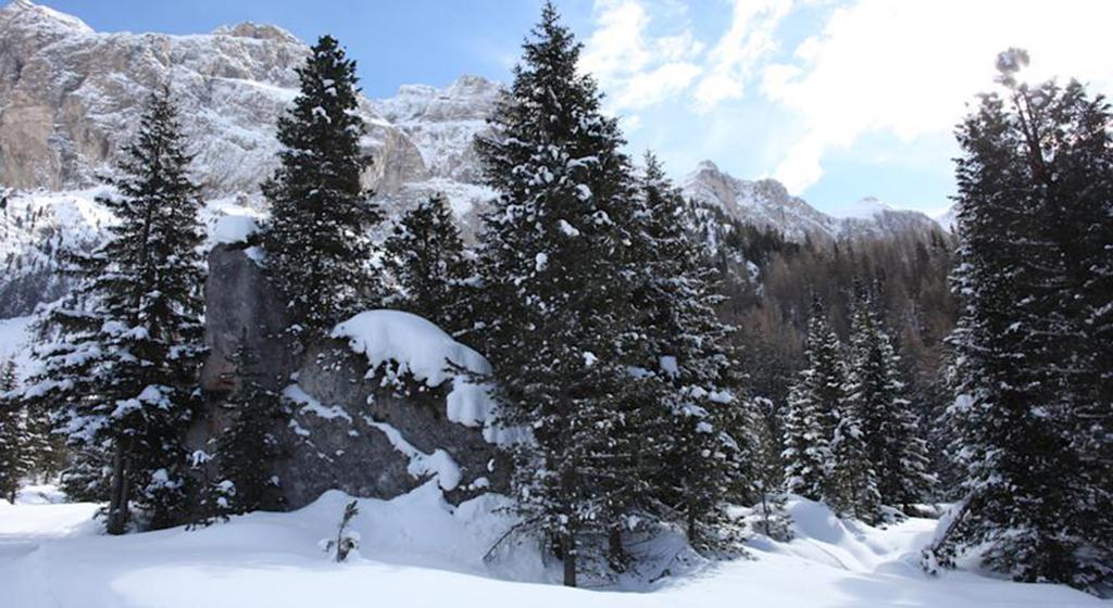 Hotel Meisules Selva di Val Gardena Exterior foto