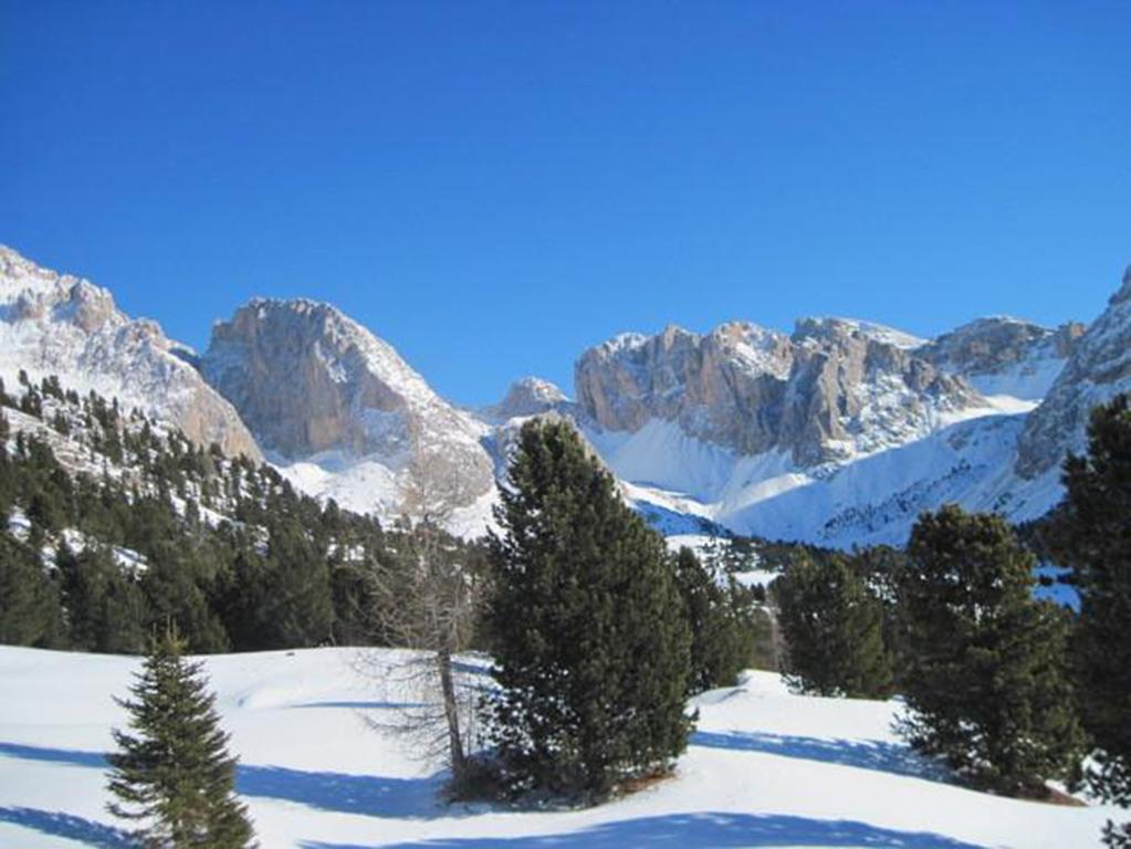 Hotel Meisules Selva di Val Gardena Exterior foto