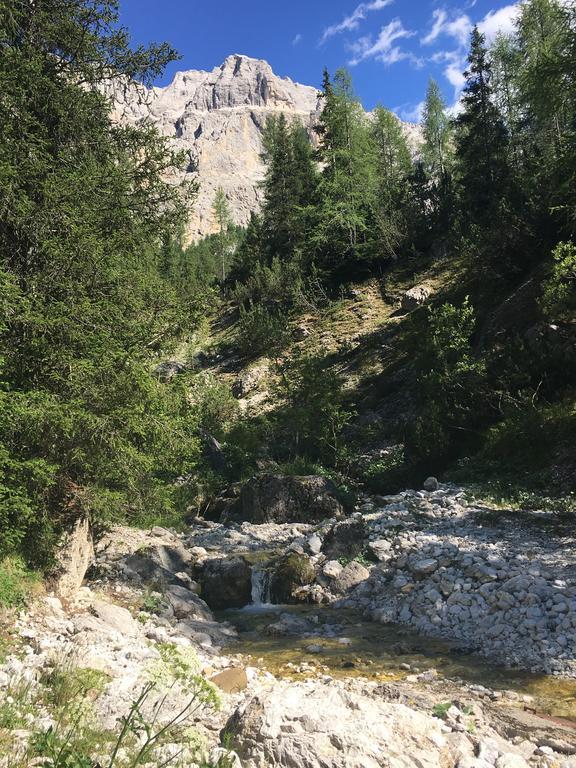 Hotel Meisules Selva di Val Gardena Exterior foto